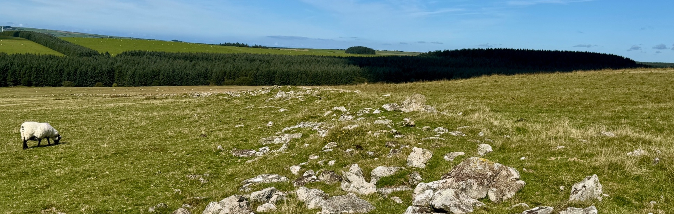 Ceri Rutter lecture image for the Forestry Commission talk