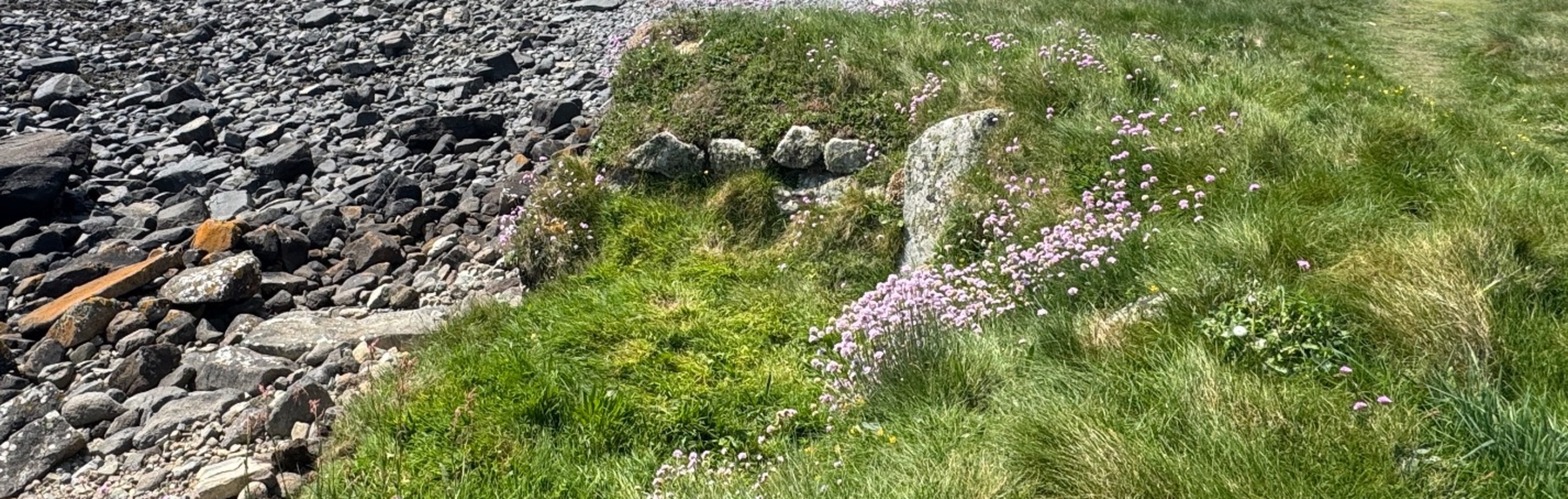 Coastal landscape image for the Trebarveth and Lowland Point walk
